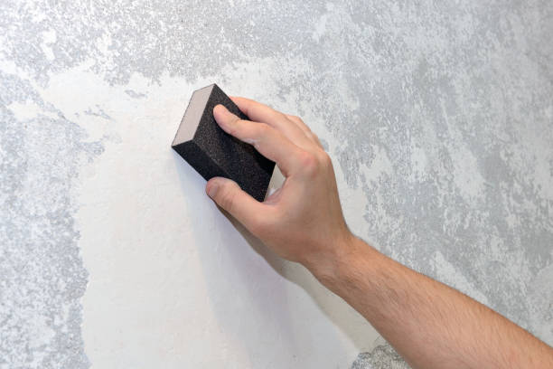 Mold Remediation for Vacation Homes in Edmonds, WA