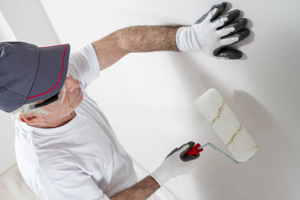 Best Mold Removal for HVAC Installations  in Edmonds, WA