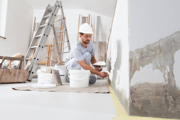 Best Mold Removal for HVAC Installations  in Edmonds, WA
