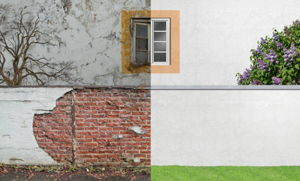 Best Environmental Consulting for Mold Prevention  in Edmonds, WA