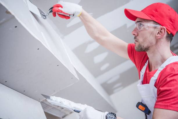 Best Mold Odor Removal Services  in Edmonds, WA